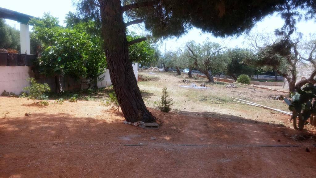 Villa "Posto Cantoro" مارينا دي بيسكولوس الغرفة الصورة